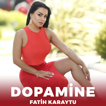 dopamine fatih karaytu remix mp3 download