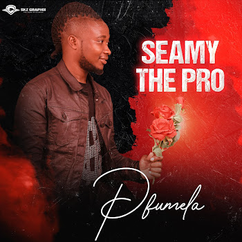 Seamy The Pro Mbilu Ayi Rivali Download Mp3